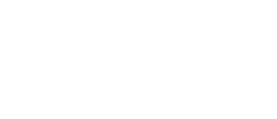 Domino Recording Co.