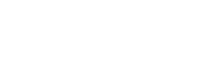 Insanity Records